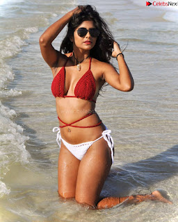 Vanita Dusky Damsel Bengali Supermodel Stunning Pics in Bikini   Desi Model in Bikini .xyz Exclusive Pics 008.jpg