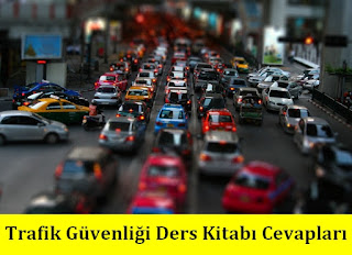 9. Sınıf Sağlık Bilgisi ve Trafik Kültürü  Ada Yayıncılık Ders Kitabı Cevapları