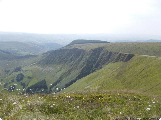 craig maesglase