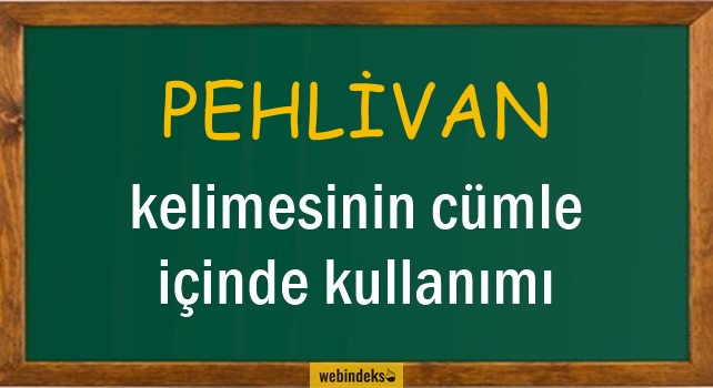 Pehlivan İle İlgili Cümleler, Kısa Cümle İçinde Kullanımı