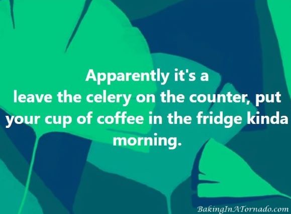 Coffee in the Fridge | graphic creatd by, featured on, and property of www.BakingInATornado.com | #humor #blogging