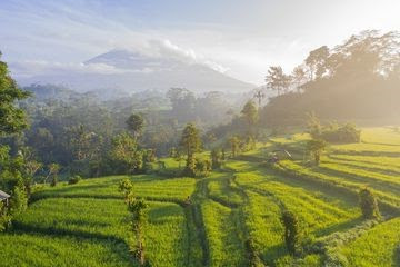 Kemakmuran dari Alam Untuk Kesejehteraan Indonesia