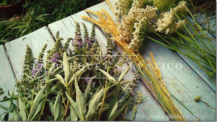 UN BOUQUET SELVATICO (10)