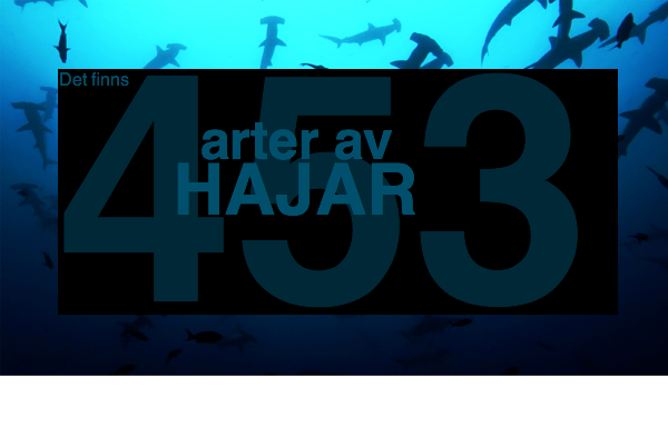 Det finns 453 arter av hajar
