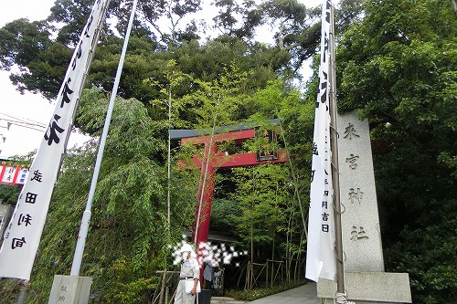 來宮神社鳥居