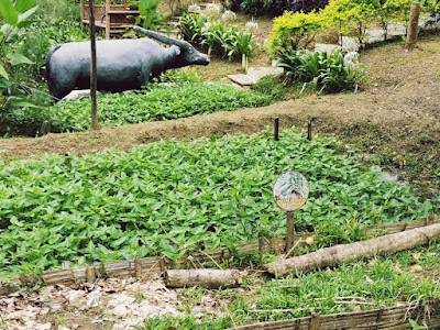 Tempat Menarik di Pahang, The Bentong Farm