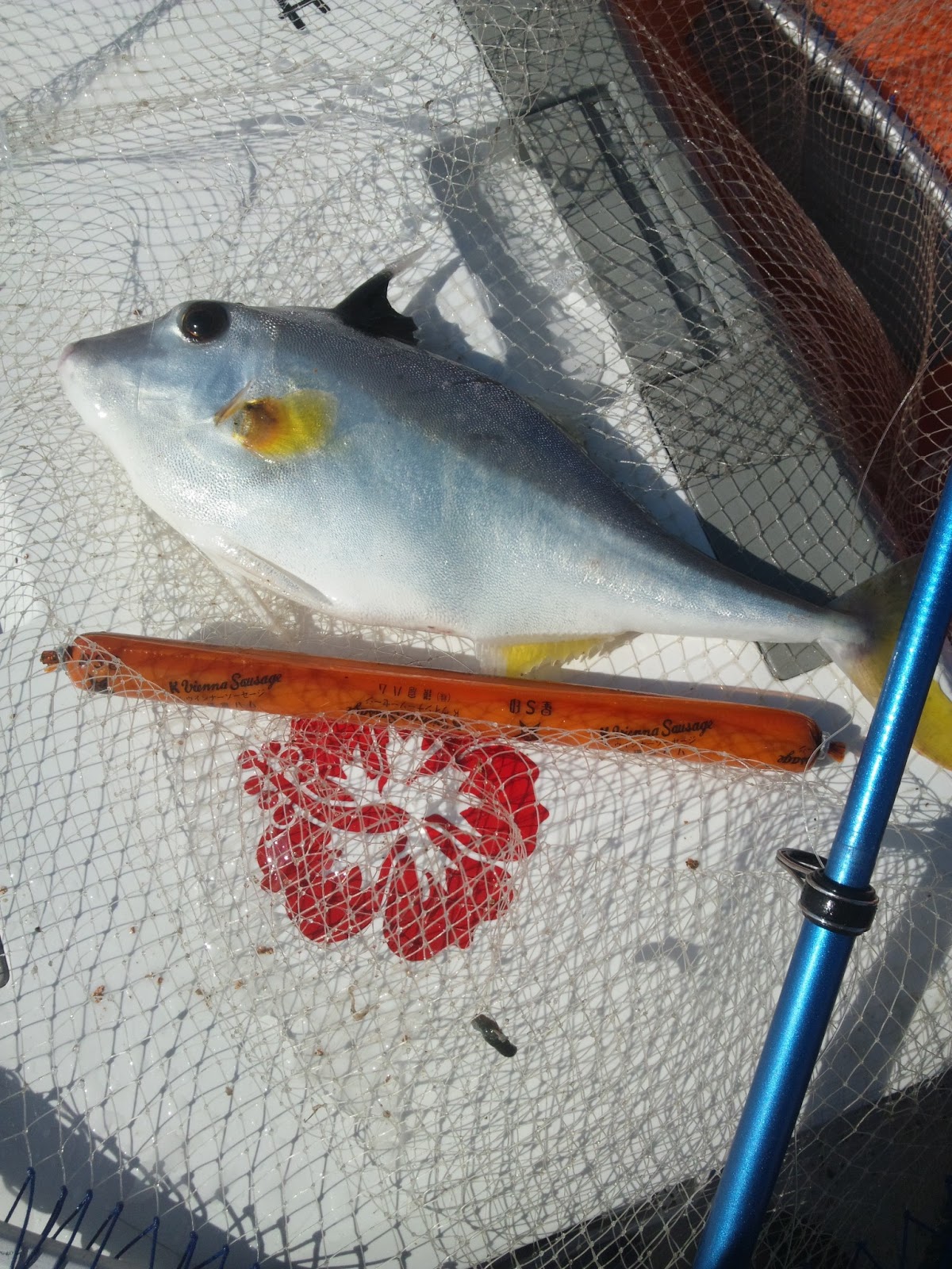 釣りガサブログ 知多半島ボート釣り３ ゼンメ大漁