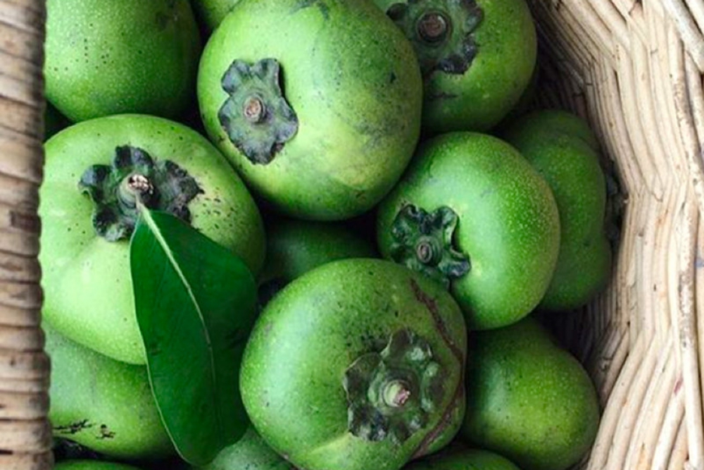 Schwarze Sapote: Diese Frucht schmeckt wie Schokolade – und enthält kaum Kalorien