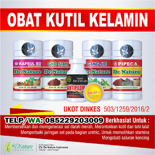 Obat Kutil Kelamin