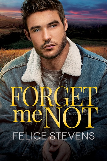 Forget Me Not by Felice Stevens.