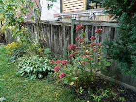 Riverdale backyard fall cleanup before by Paul Jung Gardening Services Toronto