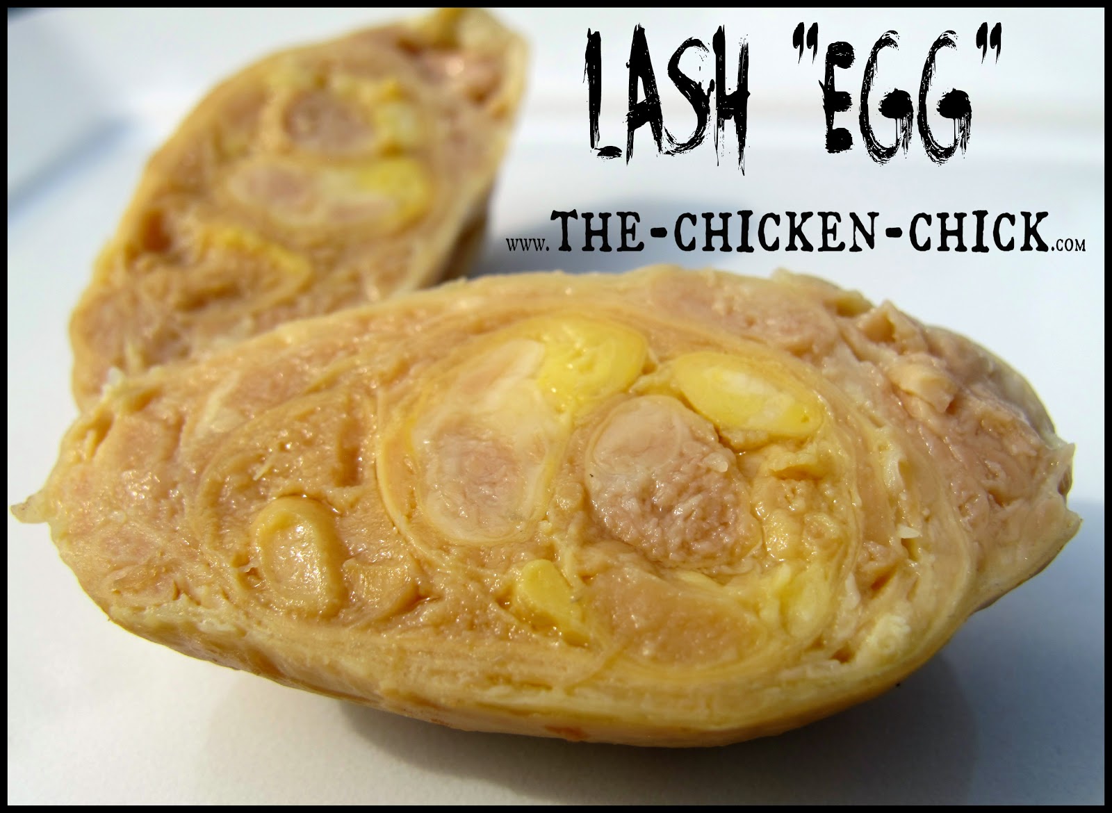 The Chicken Chick Salpingitis Lash Eggs In Backyard Chickens