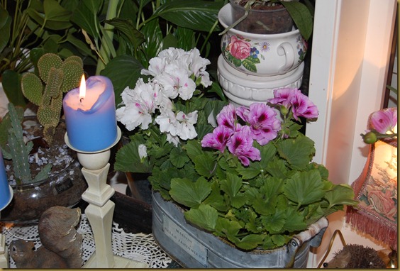 februar 2013 005
