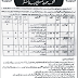  Health Department Government of Punjab Jobs in Bahawalnagar 2020.