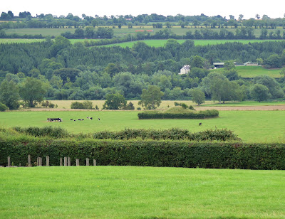 Burial mound in neighbouring farmers field Newgrange, Bru Na Boinne, County Meath, Ireland