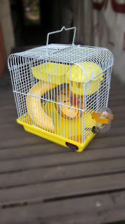 hamsters, hamster hamil, hamster lucu, hamster syrian, hamster campbell, hamster ball, hamster roborovski, hamster winter white, hamster anggora, hamster panda, hamster hamil, hamster lucu, hamster syrian, hamster campbell, hamster ball, hamster roborovski, hamster winter white, hamster anggora, hamster panda, hamster melahirkan, hamster anggora, hamster albino, hamster adalah, hamster anggora harga, hamster animasi, hamster argente, hamster anime, hamster animal domestico, hamster artinya, hamster anakan, a hamster giving birth, a hamster's diet, a hamster for sale, a hamster swimming, a hamster's life cycle, a hamster cage, a hamster's habitat, a hamster life, hamster lifespan, a hamster for christmas, hamster ball, hamster beranak, hamsterball game, hamster besar, hamster betina, hamster bandung, hamster ball apk, hamster blue argente, hamster berkelahi, hamster bermata merah, hamster b team, b&m hamster cage, b b hamsterley, b&b hamsterley forest, vitamin b hamster, b&q hamster cages, b&m hamster, b&m hamster ball, mel b hamster, hamster campbell, hamster campbell panda, hamster campbel, hamster campbell hamil, hamster cartoon, hamster cage, hamster cages, hamster campbell normal, hamster cantik, hamster cute, hamster dance, hamster download, hamster dan marmut, hamster dan kandangnya, hamster di alam liar, hamster dijual, hamster download video converter, hamster dan tikus, hamster dance song, hamster dewasa, d's hamsters christmas, hamster d alsace, hamster d europe, hamsterkiste.d, hamster d.o.o, jeux de hamster, race de hamster, nom de hamster, jeu de hamster, prénom d hamster, hamster eropa, hamster eat, hamster ekor basah, hamster emoticon, hamster education, hamster ebichu, hamster eating babies, hamster emoticon text, hamster eat meat, hamster england, hamster e book converter, hamster e rato, hamster e porquinho da india, hamster e rato diferença, hamster e cachorro, hamster e um rato, hamster e porquinho da india podem viver juntos, hamster e rato qual a diferença, hamster e seus filhotes, hamster email server, hamster free, hamster free video converter mac os x, hamster free download, hamster food, hamster fujiyama, hamster free video converter 2.0.1.26 portable, hamster free video converter 2.5 download, hamster foto, hamster flu, hamster free video converter for xp, gonal f hamster, types of hamsters, hamsterkiste f, hamster f r, hamster golden, hamster golden red eye, hamster galak, hamster games, hamster game, hamster girl, hamster gigit, hamster golden mata merah, hamster golden red eyes, hamster goreng, hamster g force, hamster g-force movie, g force hamster names, hamsters g-force, g force hamsters names, fuerza g hamster, complexe g hamster, g force hamsters or guinea pigs, g force hamster ball, hamster hamil, hamster hybrid, hamster hamil berapa lama, hamster hamil muda, hamster hias, hamster harga, hamster hamtaro, hamster house, hamster heroes, hamster hilang, hamster india, hamster imut, hamster ibu, hamster itu apa, hamster instagram, hamster in wild, hamster in english, hamster indio, hamster images, hamster is, i hamster video, hamster i bolt, hamster i terrarium, hamster i'm fat, hamstern i kungsbacka, hamster i boll, hamster i fokus, hamster i akvarium, hamster i hjul, hamster i naturen, hamster jantan, hamster jenis, hamster jinak, hamster jogja, hamster jenis panda, hamster jenis campbell, hamster jakarta, hamster jual, hamster jambi, hamster jakarta murah, j hamsterd, j amsterdam, vanessa j hamster, hamstery j'taime, j cloth hamster bedding, d j hamster santo angelo, j warren hamsterley, j valentine hamster, j valentine hamster costumes, j'ai un hamster, hamster kawin, hamster kanibal, hamster kecil, hamster kaskus, hamster keguguran, hamster kutuan, hamster campbell, hamster karawang, hamster kontes, hamster katarak, special k hamsterley, j2n-k hamster, p k hamster shop, k comen los hamster, k necesita un hamster, special k hamster, hamster que comen, k comen los hamster rusos, k.i.z. hamster, hamster lucu, hamster life mod apk, hamster life, hamster lucu dan imut, hamster langka, hamster long hair, hamster life apk, hamster life mod, hamster lokal, hamster liar, l'hamster russe, l'hamster le plus gros du monde, l'hamster doré, l hamster names, hamster l animal, hamsterkiste de, kiki l'hamster, armageddon hamster, l 294 hamster, l 370 hamster, hamster melahirkan, hamster mata merah, hamster mini, hamster mati, hamster mania, hamster murah, hamster mandi, hamster male or female, hamster mp3, hamster medan, hamster ngelahirin, hamster new, hamster name, hamster no kenkyuu report, hamster names, hamster nose bleed, hamster nl, hamster names top 10, hamster nutritional requirements, hamster not eating as much, por n hamsters, jumbo n hamsterkäfig mäusekäfig chinchilla ratten käfig, hamster n'ouvre plus les yeux, mon hamster n'ouvre plus les yeux, les hamsters n'ont pas de voix, mon hamster n'a plus de poils, wat eet n hamster, mon hamster n'arrete pas de couiner, mon hamster n ouvre pas les yeux, mon hamster n'ouvre plus ses yeux, hamster online, hamster olx, hamster opal, hamster obesitas, hamster obes, hamster online india, hamster panda, hamster other name, hamster olx bangalore, hamster olx mumbai, xhamstervideodownloader android apk, xhamstervideodownloader apk, xhamstera giriş yöntemleri, xhamsters unblock proxy, xhamstera giriş, o hamster pode tomar banho, o hamster transmite alguma doença, o hamster transmite doenças, o hamster mais fofo do mundo, o hamster mais bonito do mundo, hamster panda, hamster putih, hamster premium, hamster paling lucu, hamster putih mata merah, hamster pearl, hamster paling mahal, hamster paling jinak, hamster pink, hamster pet, p hamster names, hamster quotes, hamster cute, hamster queen, hamster quiz, hamster quiekt, hamster que comen, hamster quietscht, hamster qui fait le mort, hamster que se hace el muerto, hamster quanto custa, o q hamsters podem comer, hamster que comen, hamster q se hace el muerto, hamster q come, hamster q es, o q hamster come, b&q hamster cages, shirley q hamster, qbert hamster, q comen los hamster, hamster roborovski, hamster roborovski hamil, hamster rusia, hamster roborovski harga, hamster robo white face, hamster report text, hamster roborovski white face, hamster raksasa, hamster roborovski husky, hamster roborovki, r hamsters good pets, r hamsters nocturnal, r/hamster gifs, r hamsters allowed cheese, r hamsters color blind, r hamsters rats, r hamster names, hamsters r us, imgur r/hamster, r dwarf hamster, hamster syrian, hamster syrian hamil, hamster siria, hamster sakit, hamster surabaya, hamster suriah, hamster shop, hamster syrian panda, hamsters, hamster semarang, s hamsters, hamster s free, hamster terbesar, hamster tidur, hamster terlucu, hamster terkecil, hamster tidur terus, hamster tiger, hamster terbagus, hamster tikus, hamster tube end caps, hamster tanpa bulu, t hamsterke, t hamsterke herentals, hamster t shirt, hamsterdam t shirt, hamster t shirt uk, hamster t-online, hamster t-cell lymphoma, hamsterhead t shirt, hamster t mobile commercial, hamster t tubes, hamster umur, hamster unik, hamster umur 1 minggu, hamster untuk pemula, hamster umur 1 bulan, hamster umur 2 minggu, hamster ukuran besar, hamster usia 3 minggu, hamster umur 3 minggu, hamster umbrous, hamster youtube, hamster dance youtube, khối u hamster, games2u hamster ball, shop hamster u nu, hamster video converter, hamster vs marmut, hamster vector, hamster video converter windows 7 64 bit, hamster video download, hamster video converter gratis, hamster vs tikus, hamster video converter free download, hamster video free download, hamster video converter download, v hamster eating, hamster v guinea pig, hamster or gerbil, hamster video, hamster v kobayashi, hamster v ghana, hamster or mouse, hamster v ghana award, hamster v cat, hamsterball v.3.6, hamster winter white, hamster winter, hamster winter white hamil, hamster ww, hamster winter tiger, hamster winter white tiger, hamster wikipedia, hamster winter pearl, hamster wallpaper hd, hamster winter white normal, hamster xpecial, hamster x 2010, hamster x3, hamster x ray, hamster x ray food, hamster x ray eating, hamster x9, hamster xiumin, x hamsterit, x hamster little girl, x hamster converter, x hamster little girl video, x hamster mom vs kid, x hamster mom and child, x hamstersz, x hamster 12 year, x hamster baby boy, x hamster child.com, hamster youtube, hamster yang lucu, hamster yang baru lahir, hamster yang cocok untuk pemula, hamster yang tidak gigit, hamster yang jinak, hamster yang sedang hamil, hamster yang cocok untuk anak-anak, hamster yang bagus untuk dipelihara, hamster yang paling mahal, hamster y gretel, hamster y sus cuidados, hamster y sus crias, hamster y gretel cazadores de brujas pelicula completa, hamster y banana, hamster y niños, hamster y embarazo, hamster y sniper, hamster y platano, hamster y sus caracteristicas, hamster zip, hamster zoo, hamster zip download, hamster zubehör online shop, hamster zip archiver, hamster zhu zhu pets, hamster zubehör, hamster zähmen, hamster zu verschenken, hamster züchter, cage 0 hamster, hamster 101 animal planet, hamster 101, hamster 123, hamster 1 bulan, hamster 1 minggu, hamster 101 care, hamster 10 gallon tank, hamster 1 oyunu, hamster 1 oog dicht, hamster 1001 spiele, 1 hamster or 2, 1 hamsterjahr, 1 hamster 5 carrots, 1 hamster for sale, 1 hamster oder 2, hamster 1 bulan, hamsterball 1, hamster 1 minggu, hamster 1 jantan 2 betina, hamsterball 1 download, hamster 2015, hamster 2014, hamster 2.0, hamster 2.0 download, hamster 2013, hamster 2 minggu, hamster 2 player games, hamster 2.0.0 tar z, hamster 2 games, hamster 2 oyna, 2 hamsters 1 wheel, 2 hamsters 1 cage, 2 hamster 1 wheel, 2 hamsters running on wheel, 2 hamsters one wheel, 2 hamster in einem käfig, 2 hamster halten, 2 hamsters 1 roue, 2 hamsters in een kooi, 2 hamster zusammen halten, hamster 3d, hamster 3d model, hamster 3d model free, hamster 3d challenge, hamster 3d cars, hamster 3gp video converter, hamster 3 warna, hamster 3 tage alleine lassen, hamster 3 oyna, 3 hamsters, 3 hamsters 1 wheel, 3 hamsters in one cage, 3 hamster car commercial, 3 hamster names, 3 hamsters on a wheel, 3 hamster toys, hamsterball 3, hamster 3 warna, hamster 3 nitgen, hamster428, hamster 4 sale, hamster 4th of july party, hamster 4 drivers, hamster 4at, hamster 4chan, hamster 4 carrots, hamster 45 alternativen, hamster 404, hamster 4 weeks old, hamsters 4 sale, hamsterkiste 4 klasse mathe, hamster 4 fingerprint, hamster 4 drivers, hamster 4 carrots, hamsterkiste 4. klasse deutsch, hamster 4 weeks old, hamsterball 4, gta 4 hamster harem, 4 storey hamster cage, hamster 50 shades of grey, hamster 5 carrots, hamster 5 senses, hamster 5 carottes, hamster 5 karotten, hamster 5giay, hamster 5 möhren, hamster 5 baby carrots, hamster 500e, hamster 5 weken oud, 5 hamster species, 5 hamster facts, 5 hamster breeds, 5$ hamster cages, 5 hamster mistakes, hamster 5 carrots, hamster 5 carottes, hamsterkiste 5 sinne, hamster 5 karotten, hamster 5 möhren, hamster 64 trần xuân soạn, hamster 6 weken, hamster 6 weeks old, hamster 64 bit, hamster 666, hamster 66, hamster 64 bit version, 6 hamsterley square wantirna, 6 hamsterley close bedford, hamsterweg 6 bellingwolde, hamsterweg 6, hamster 6 weken, hamster 6 weeks old, hamsterweg 6 9695 xd bellingwolde, hamster 6 year old, hamster 6 months, 6 inch hamster wheel, hamster 7zip, hamster 7 hari, hamster 7z, hamster 7 carrots, 70x40 hamster cage, 737 hamster pouch, 7 hamster ball, 75x40x40 hamster cage, 75cm hamster cage, 75x40 hamster cage, 7 hamster ball, 7 hamster wheel, hamster 7zip, hamster 7 hari, harry hamster 7, anak hamster 7 hari, hamsterkoog 7, hamster 7 carrots, hamsters 7 days old, hamster 7 levels of classification, hamster 88, hamster 89, hamster 800e, hamster 800, hamster 8 inch wheel, hamster 8 weeks old, hamster 8 weken oud, hamster 8 times table song, hamster 8 times table, hamster 8 weeks, 8 hamster wheel, 8 hamsters 18 rabbits, 8 hamsters 18 rabbits 7 guinea pigs, 8 hamsters 18 rabbits 7 guinea pigs how many dogs, 8 hamster ball, hamster 8 inch wheel, hamsterstraat 8 eindhoven, hamster 8 weeks old, hamster 8 weken oud, hamster 8 times table song, hamster 9gag, hamster 99f, hamster 99 francs, hamster 9gag tv, hamster 9gag gif, hamster 96, hamster 974 nouveauté, hamster 911, 9gag hamster ball, 9minecraft hamster mod, 9 hamster wheel, 9 hamster ball, harry hamster 9, 9gag hamster, hamsters 9 days old, 9 inch hamster wheel, 9 inch hamster ball, criceti 9 hamster cage, criceti 9 hamster cage by ferplast, minecraft hamsterland 9, hamster 101 animal planet, hamster 101, hamster 1000, hamster 10 days, hamster 101 care, hamster 10 gallon tank, hamster 1001 spiele, hamster 10k, hamster 10 gallon tank topper, hamster 1001, 10 hamster wheel, 10 hamster facts, 10 hamster ball, $10 hamster cages, 10 hamster products i couldn't live without, 10 hamster names, hamster 10 days, hamster 10 gallon tank, hamsterweide 10 nieuwegein, hamster 10 gallon tank topper,