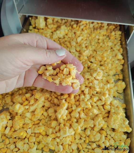 how to make freeze dried corn