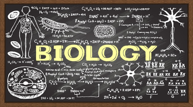 Guru Biologi di Sekolah AS Masih Ragu Mengajarkan Evolusi di Kelas