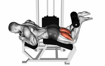 Best leg workout for men