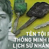 Từ thần đồng đến thiên tài bẻ khoá "đam mê" vượt ngục: 13 lần tẩu thoát với 7 lần thành công, án tù 4 năm tăng tiến lên 105 năm