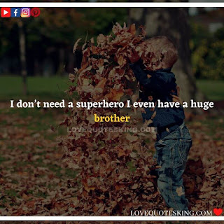 Best Funny Brother Quotes From a Sister | Best Quotes About Brothers To Say | Best Brother Quotes And Sibling Sayings | Funny Quotes On Brother And Sister