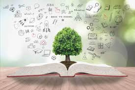 Christian Education in Africa: A Pathway to Holistic Development