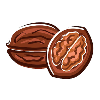 100+ Free Cartoon Images of Walnut dry fruit