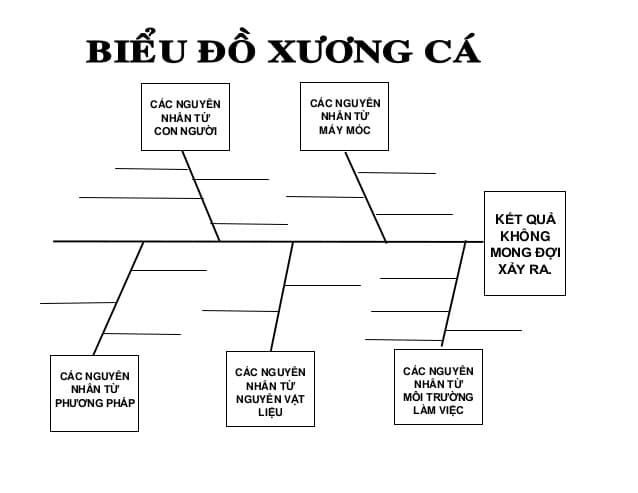 Biểu đồ xương cá là gì? Ứng dụng và cách thực hiện