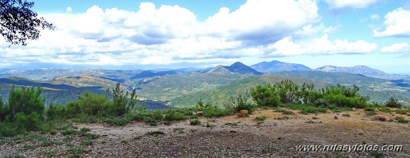 El Colmenar - Camino de los Arrieros - Puerto de los Peñones - Puerto de la Venta - Garganta de Los Charcones