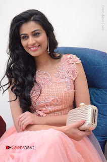 Actress Neha Hinge Stills in Pink Long Dress at Srivalli Teaser Launch  0071.JPG