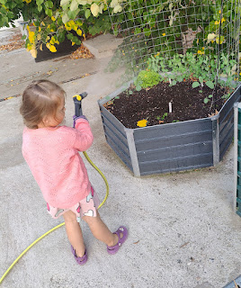 Rosie watering her raised bed