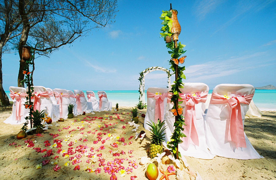 My wedding party will be held at the beach Invite all the friends