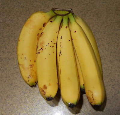 香蕉的果實