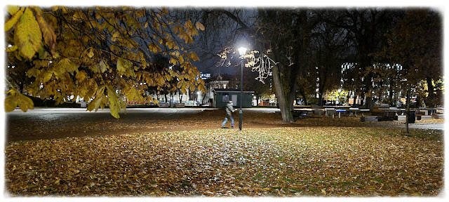 Fine høstfarger i Sofienberg­parken i Bydel Grüner­løkka i Oslo.