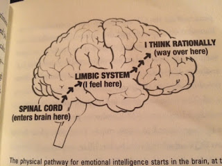This brain graphic explains my irrational tantrum about my running