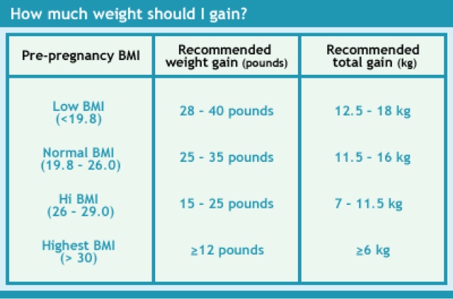 Diary of a Fit Mommy: Normal Pregnancy Weight Gain Breakdown