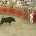 Free Super Dangerous bull fighting. This is stunt