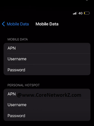 Freedom Mobile APN Internet Settings for iPad