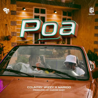 AUDIO | Country Wizzy Ft. Marioo – Poa (Mp3 Audio Download)