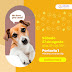 Bangu Shopping promove Feira de Adoção Pet neste sábado