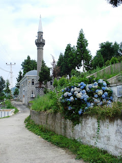 Liparit Camii. Ortancaların üst tarafında hacıannem ve hacıbabamın mezarları var