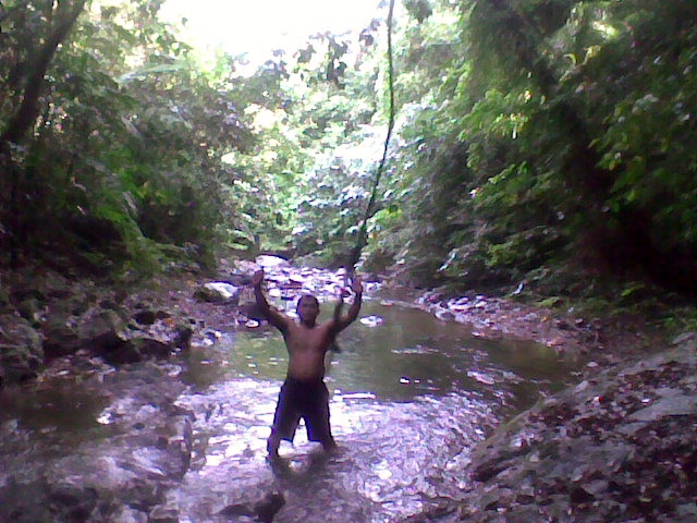 I'm Tarzan, the lord of the jungle