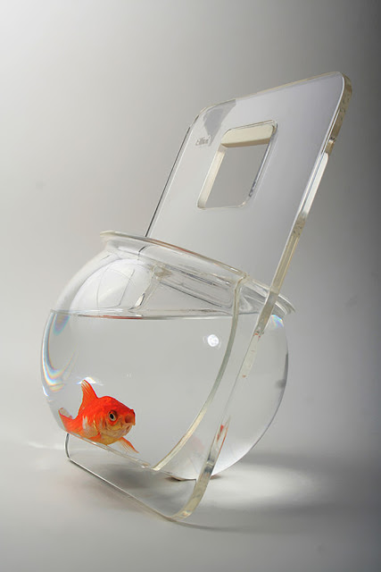 unique betta fish tank