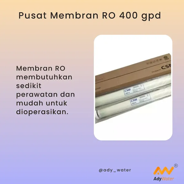 Membran RO 50 GPD, Membran RO 75 GPD, Membran RO 100 GPD, Membran RO 200 GPD, Membran RO 400 GPD, Membran RO 500 GPD, Membran RO 1000 GPD, Membran RO 2000 GPD, Membran RO 4000 GPD, Membran RO 10000 GPD, Supplier Membran RO 50 GPD, Distributor Membran RO 75 GPD, Grosir Membran RO 100 GPD, Toko Membran RO 200 GPD, Pusat Membran RO 400 GPD, Penjual Membran RO 500 GPD, Supplier Membran RO 1000 GPD, Distributor Membran RO 2000 GPD, Grosir Membran RO 4000 GPD, Toko Membran RO 10000 GPD, Pusat Membran RO 50 GPD, Penjual Membran RO 75 GPD, Membran RO 50 GPD CSM, Membran RO 75 GPD Filmtec, Membran RO 100 GPD Vontron, Membran RO 200 GPD CSM, Membran RO 400 GPD Filmtec, Membran RO 500 GPD Vontron, Membran RO 1000 GPD CSM, Membran RO 2000 GPD Filmtec, Membran RO 4000 GPD Vontron, Membran RO 10000 GPD CSM,