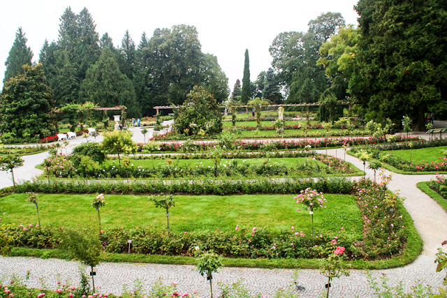 Rosengarten vor dem Schloss Insel Mainau