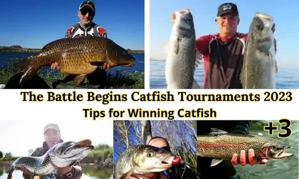 The Battle Begins Catfish Tournaments 2023