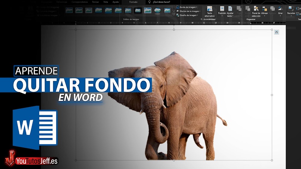 Como Quitar el Fondo de una Imagen en Word