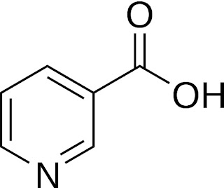  Akibat Kekurangan bagi Tubuh Manusia dan Hewan  Pintar Pelajaran Makanan Sumber dan Fungsi Vitamin B3 (Niasin) : Akibat Kekurangan bagi Tubuh Manusia dan Hewan