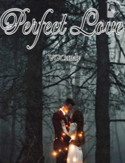 Novel Perfect Love Karya VGCandy Full Episode