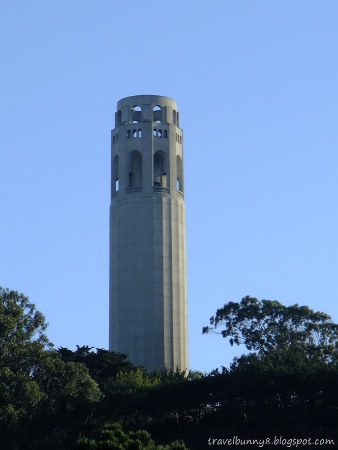 DSCF0155